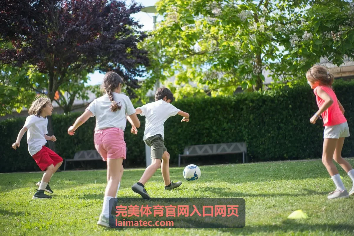 官网入口收藏与书签整理示意