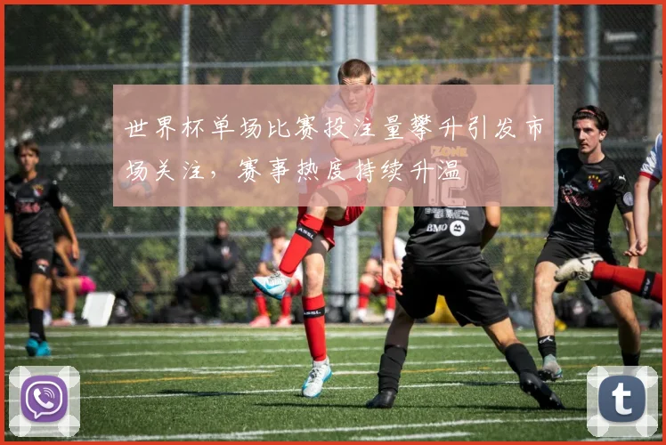 世界杯单场比赛投注量攀升引发市场关注,赛事热度持续升温