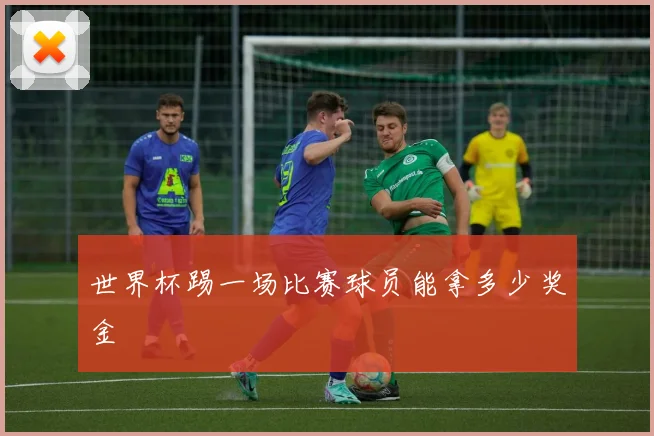 世界杯踢一场比赛球员能拿多少奖金