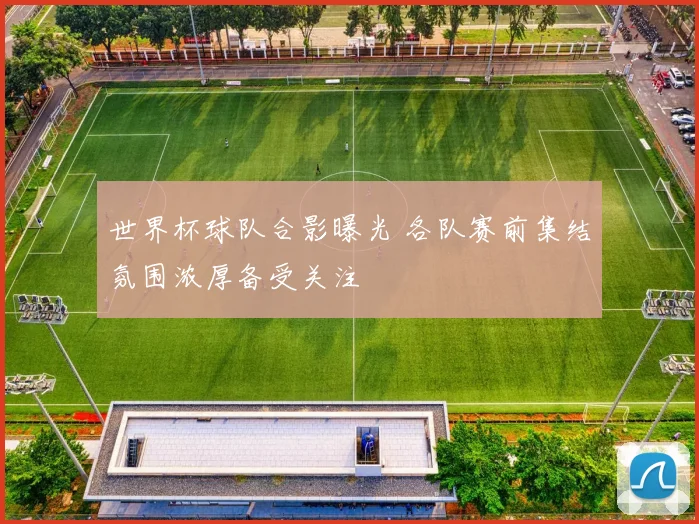 世界杯球队合影曝光 各队赛前集结氛围浓厚备受关注