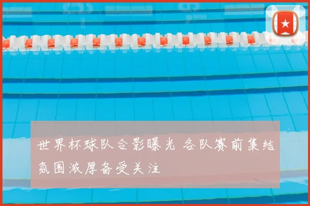 世界杯球队合影曝光 各队赛前集结氛围浓厚备受关注