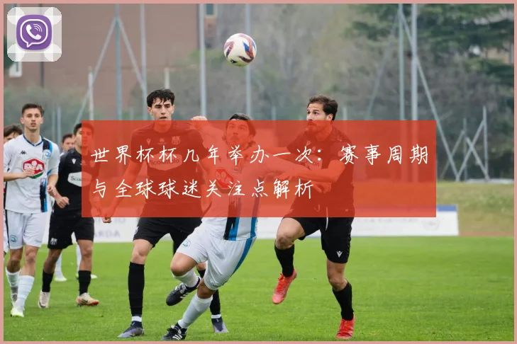 世界杯杯几年举办一次:赛事周期与全球球迷关注点解析