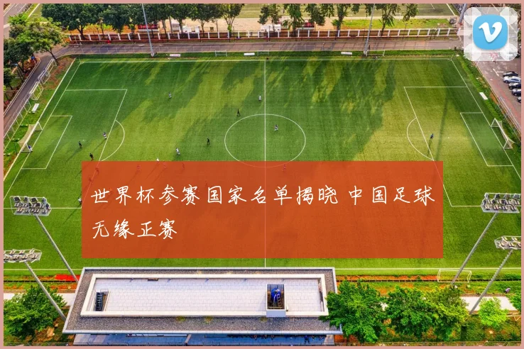 世界杯参赛国家名单揭晓 中国足球无缘正赛